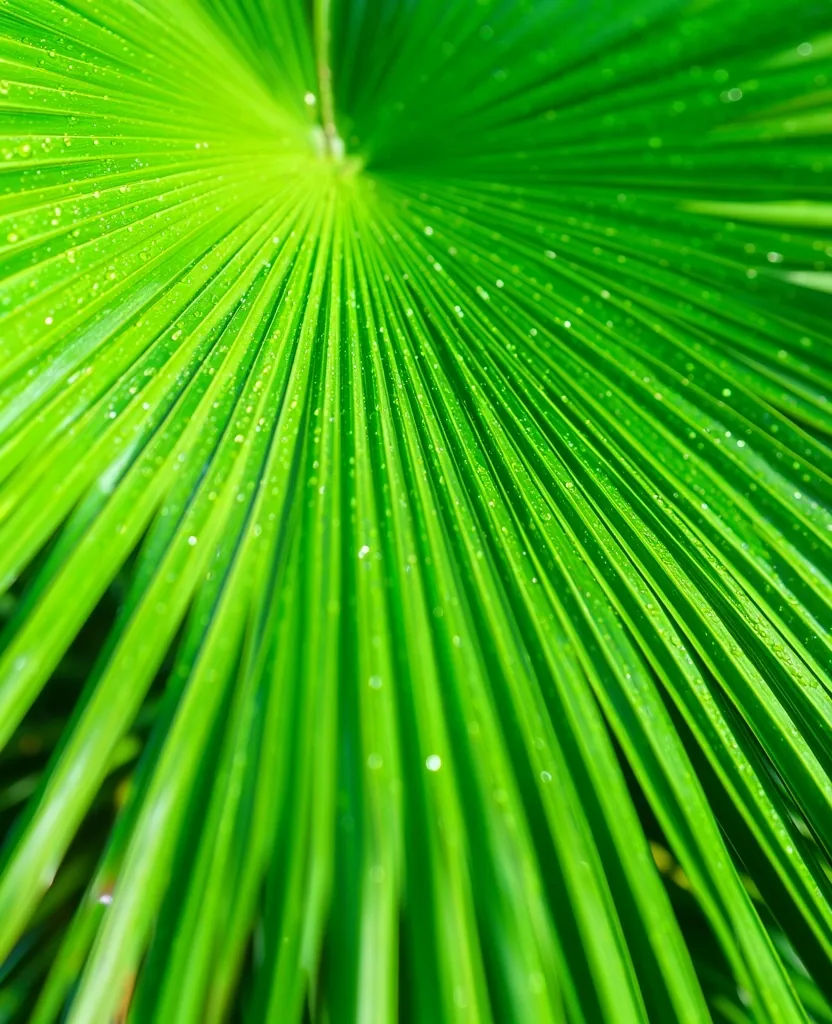 Botanical texture